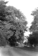 Castle Hill Road, New Buckenham, from East