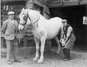 Fred Derisley with Blossom being shod by Arthur Reeve.  1962